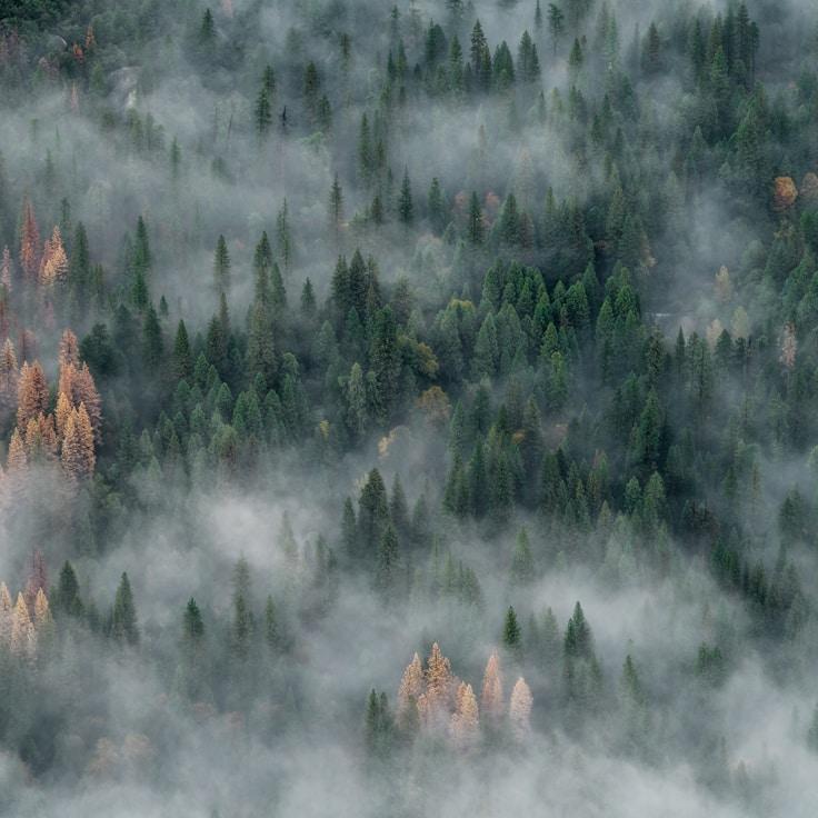 Earth-friendly travel hero image